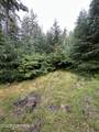 Lot 33 Kupreanof - Photo 35
