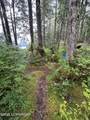 Lot 33 Kupreanof - Photo 36