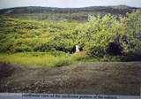 0000 Chignik Lodge - Photo 10