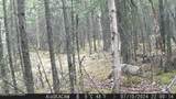 1210 Hudson Road - Photo 73