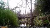 1210 Hudson Road - Photo 74