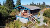 39047 Sayer Road - Photo 44
