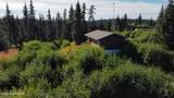 39047 Sayer Road - Photo 47
