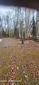 48400 Bendapole Road - Photo 16