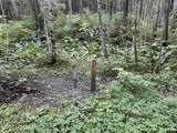 17860 Chilkat Road - Photo 13
