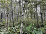 17860 Chilkat Road - Photo 14