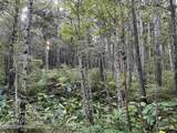 17860 Chilkat Road - Photo 15