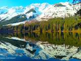 NHN Chilkat Lake - Photo 29