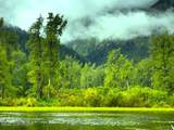 NHN Chilkat Lake - Photo 32