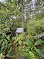000 Tenakee Avenue - Photo 8
