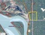 Tr 23 Yentna Remote Rec Cabin Site - Photo 3