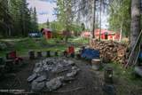 34991 Little Jim Circle - Photo 16