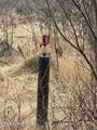 35191 Kaltag Loop - Photo 7