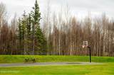 9910 Trennie Loop - Photo 16
