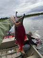 000 Nuyakuk - Photo 16
