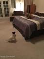 372 Bayview Avenue - Photo 8