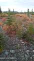 0000 Otto Lake Road - Photo 5