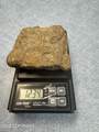 000 Moore Creek Gold Mine - Photo 13