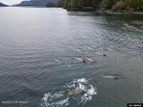 Lot 4 Nakwasina Sound Subdivision - Photo 10