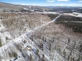 3811 Old Nenana Highway - Photo 36