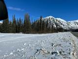 Mi 214.5 Parks Highway - Photo 4