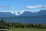 5260 Kachemak Drive - Photo 53