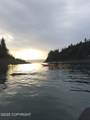 52735 Halibut Cove - Photo 5