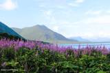 000 Moser Bay - Photo 16