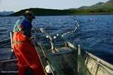 000 Moser Bay - Photo 28