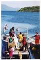 000 Moser Bay - Photo 29