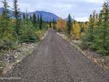 MP 59 Mccarthy Road - Photo 18