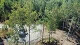 36769 River View Terrace Drive - Photo 22