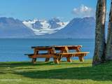 4602 Kachemak Drive - Photo 8
