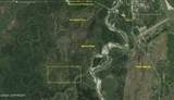 Multi Lts Nenana River (No Road) - Photo 1