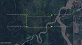 Multi Lts Nenana River (No Road) - Photo 3