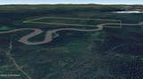 Multi Lts Nenana River (No Road) - Photo 4