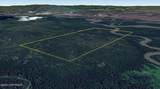 Multi Lts Nenana River (No Road) - Photo 7