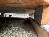 4495 Kallenberg Road - Photo 12