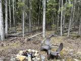 4495 Kallenberg Road - Photo 18