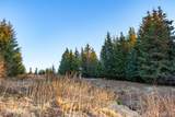 40561 Misty Ridge Road - Photo 4