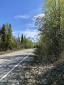 36784 Eklutna Lake Road - Photo 58