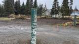 51266 Sea Quest Drive - Photo 1