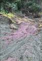 0000 No Road - Photo 22