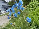 33768 Granross Street - Photo 63