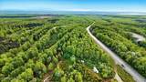 15946 Willow Fishhook Road - Photo 14