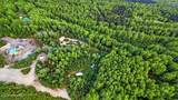 15946 Willow Fishhook Road - Photo 7