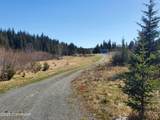41110 Sterling Highway - Photo 3
