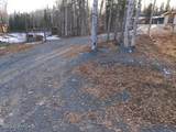 60.5 Tok Cut Off Highway - Photo 12