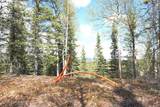 60.5 Tok Cut Off Highway - Photo 48