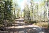 60.5 Tok Cut Off Highway - Photo 69